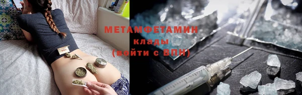 прущие грибы Няндома