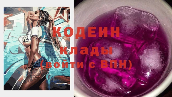 прущие грибы Няндома