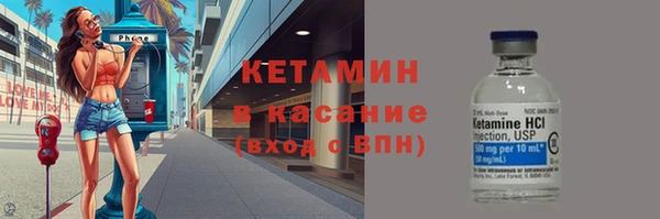 прущие грибы Няндома