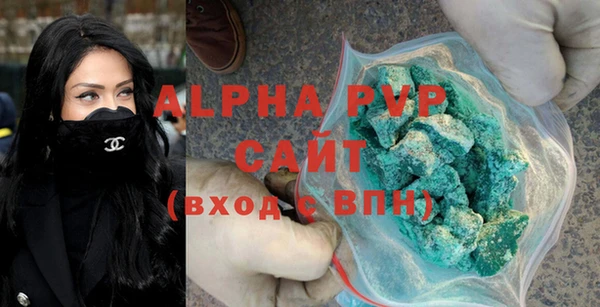 прущие грибы Няндома
