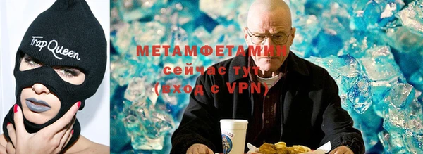 прущие грибы Няндома