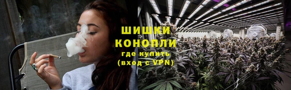 прущие грибы Няндома