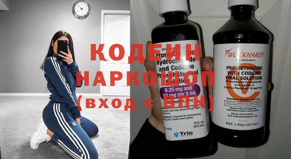 прущие грибы Няндома