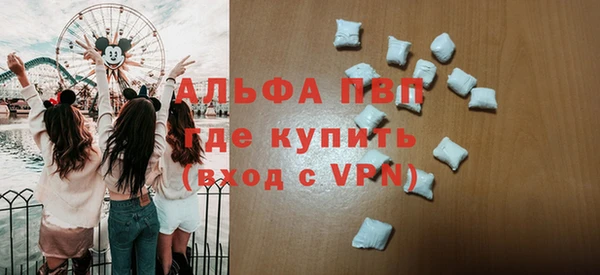 прущие грибы Няндома
