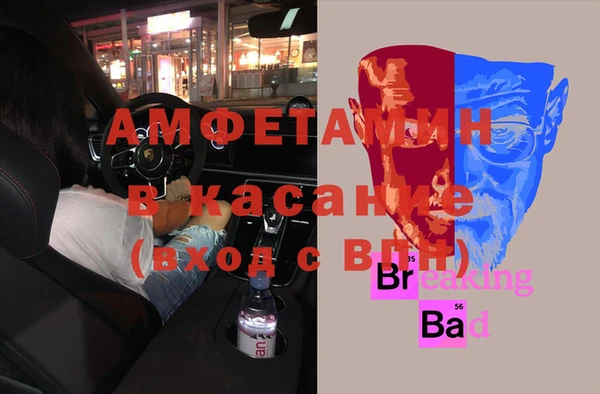 прущие грибы Няндома