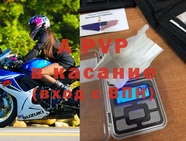 прущие грибы Няндома