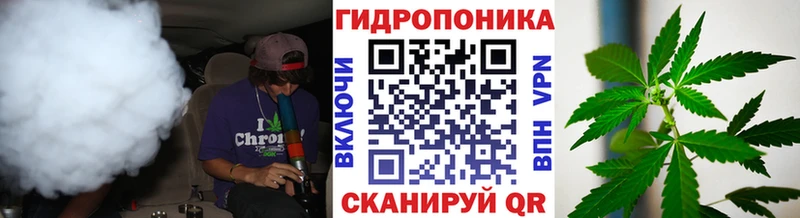 Бошки марихуана план  Купить  Петров Вал 